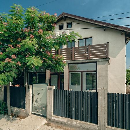 술리나 Casa Amina 아파트 외부 사진